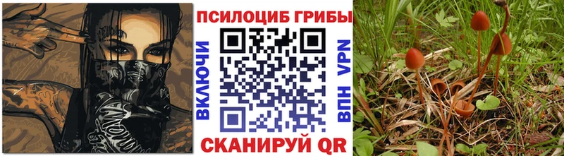 сколько стоит Среднеколымск Псилоцибиновые грибы Cubensis